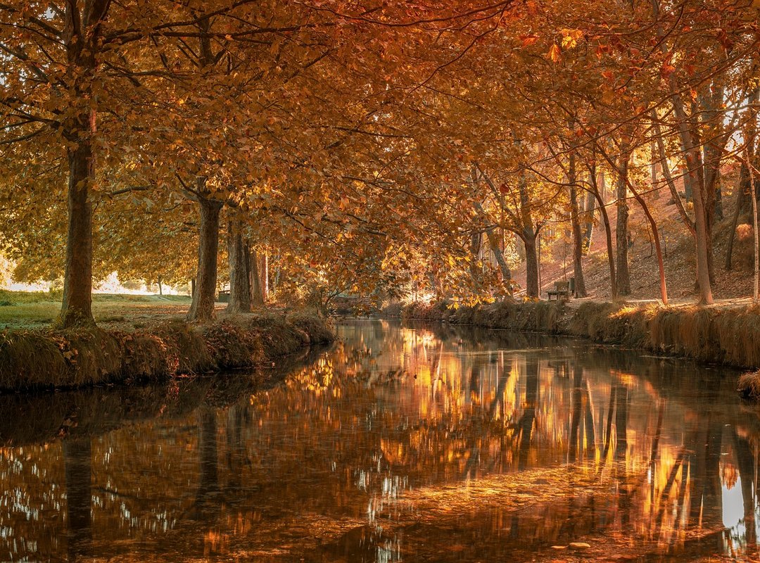 Las 4 Alternativas a la Garantía que los Propietarios Sí Aceptan