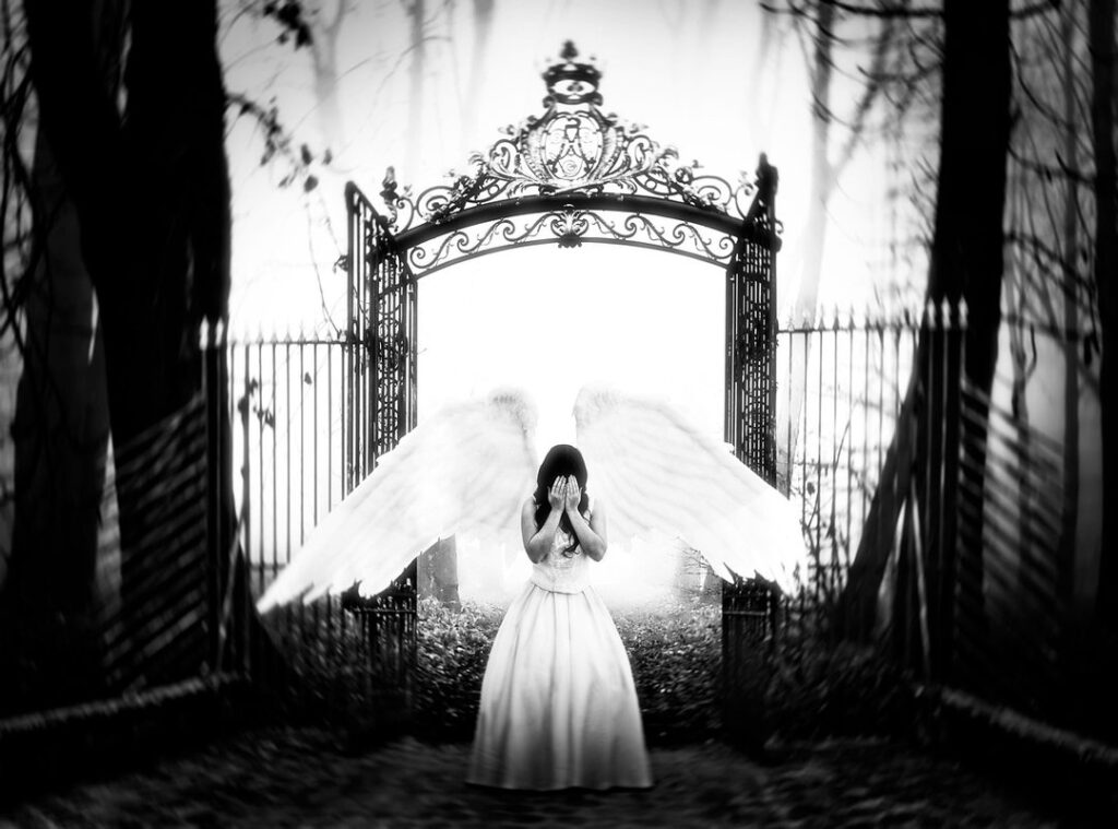 sofiepetersonxo leaked