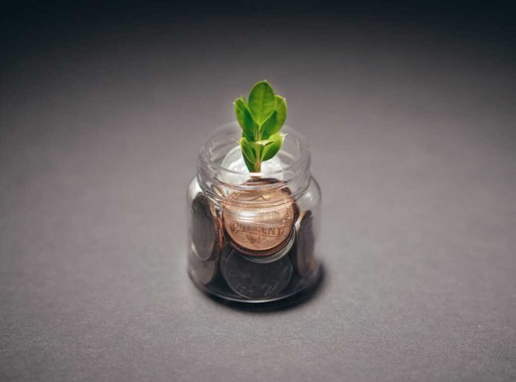 sustainable financial plan