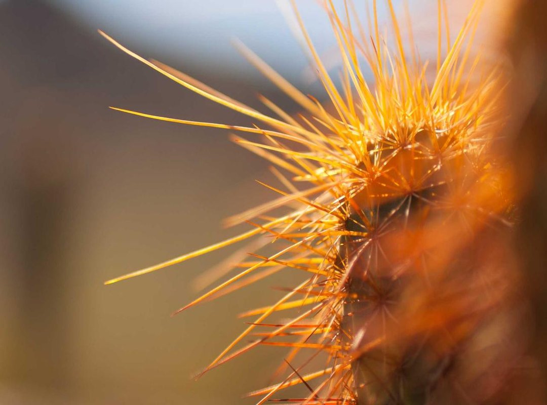 Comparing Top Men's Drops: Pros and Cons