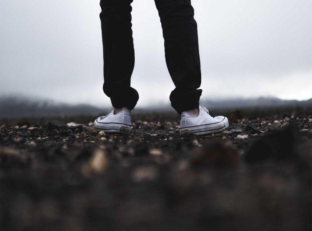 Decoding the Virality: Why Did This Video Take Over the Internet?