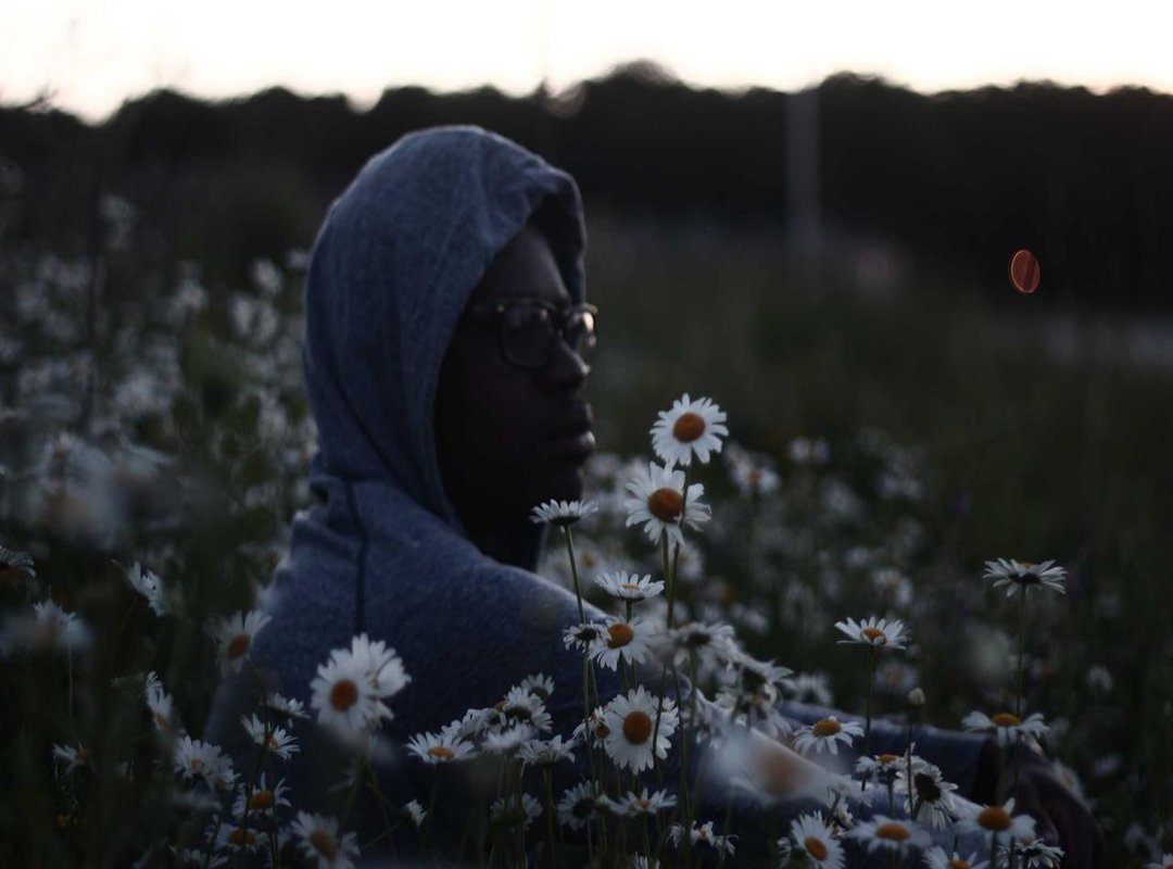 The Pros and Cons: What to Know Before You Buy