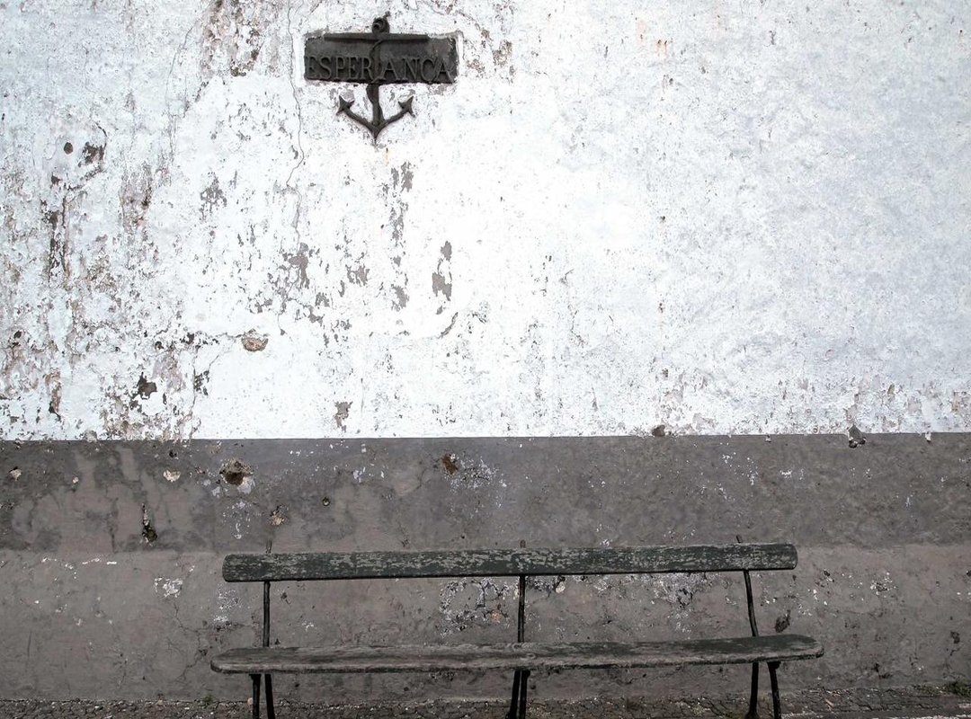 Assembly and Play: Bringing Your Paper Duck to Life