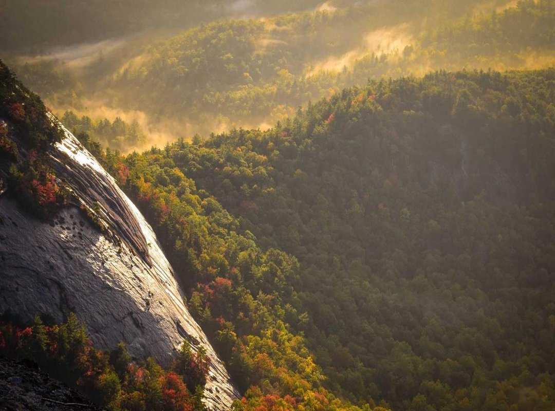 The Psychology of Watching: Why We Seek Out These Stories