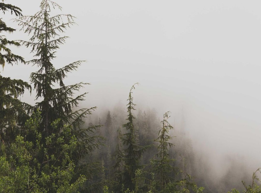 The Magnetic Pull: Analyzing Seyran and Ferit's Relationship