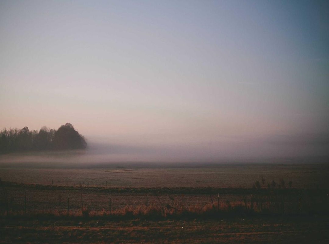 Beyond the Screen: A Look at His Life and Other Ventures