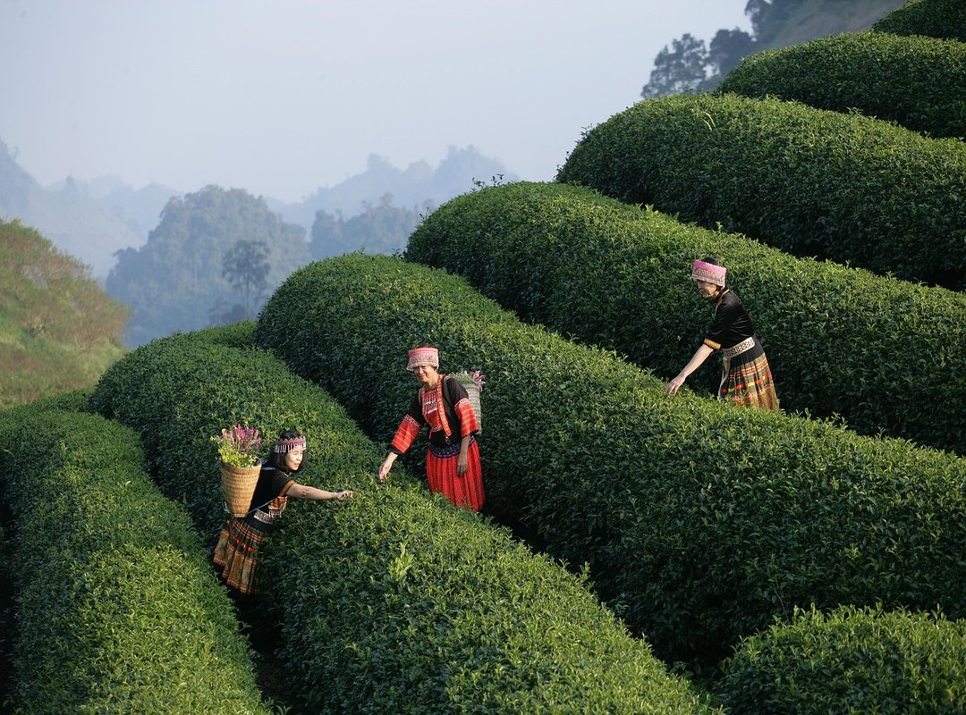 Real User Experiences and Testimonials