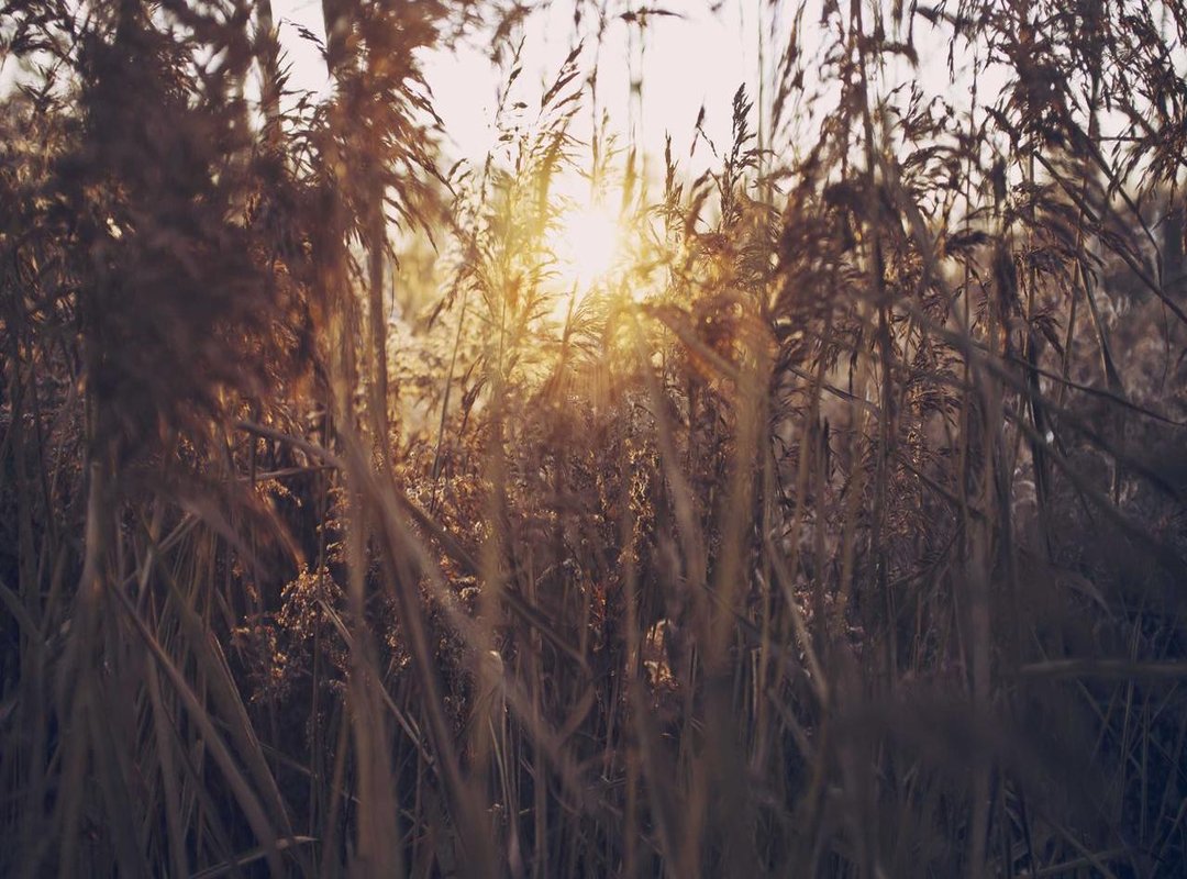 Customizing Your WhatsApp DP: Creative Tips and Tricks