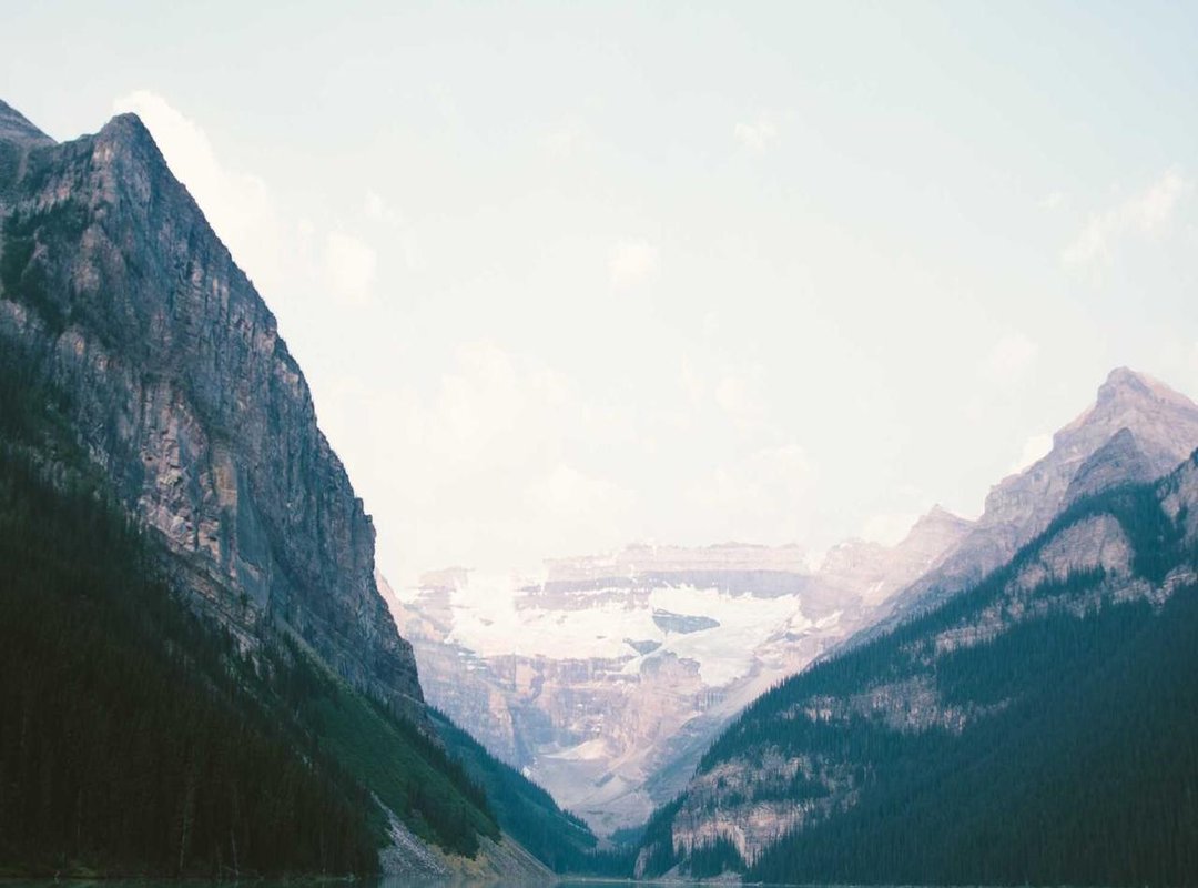 Platform Showdown: A Head-to-Head Comparison